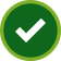 Success Icon